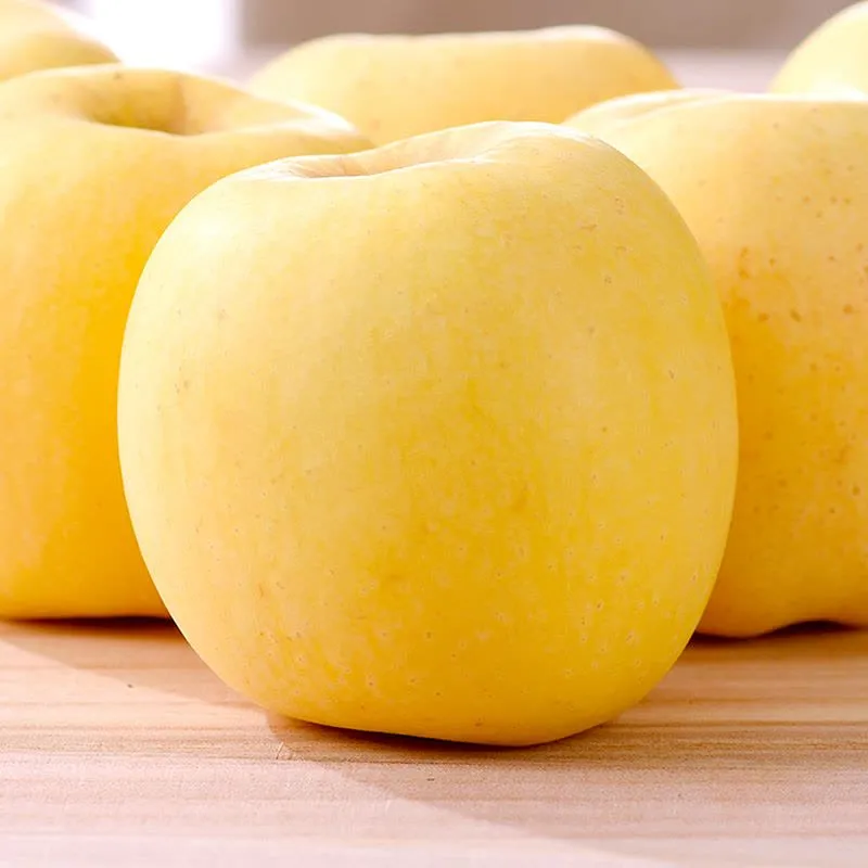 Semena Golden Apple, 90% míra přežití