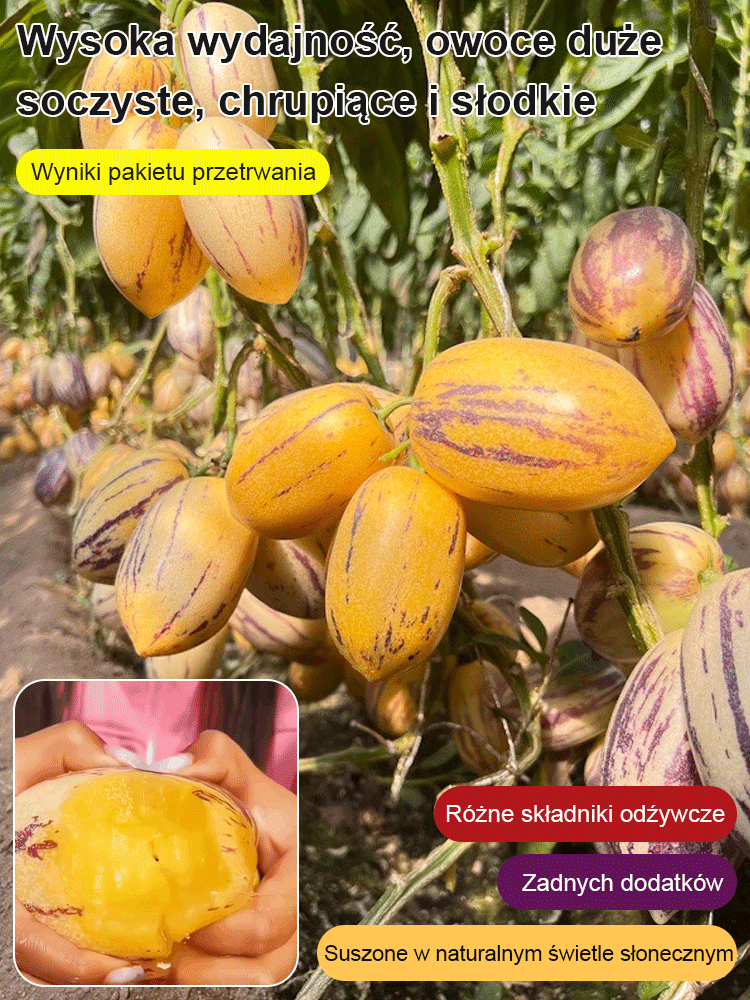 JS-Hypoglykemické a antihypertenzní mléko žluté maso hrnkové ženšen ovoce