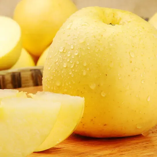 Semena Golden Apple, 90% míra přežití