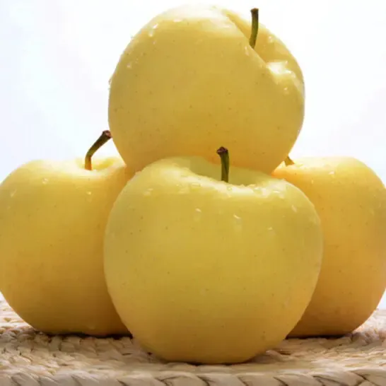 Semena Golden Apple, 90% míra přežití